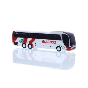 RIETZE 74868 MAN Lions Coach L´17 in...