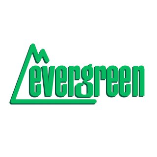 evergreen 13035 Strukturplatte, 300x600x0,5 mm. Spur S-Maßstab, 1 Stück