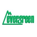 evergreen 14081 Bretter-Verschalung, 300x600x1,0 mm,...