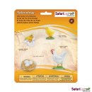 Safari S662816 Lebenszyklus eines Huhn